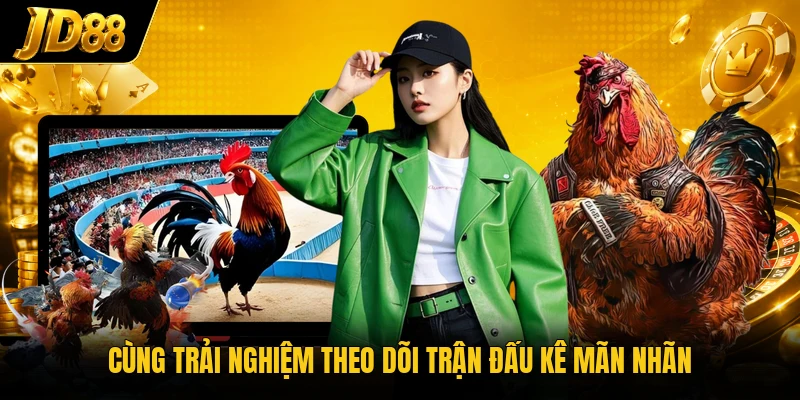 Đá Gà JD88 - Theo Dõi Những Màn Đối Đầu Nảy Lửa 2026 - NO8.GAMES