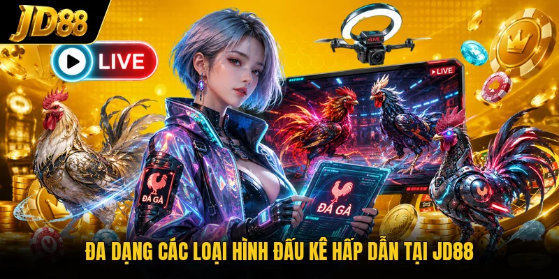 Đá Gà JD88 - Theo Dõi Những Màn Đối Đầu Nảy Lửa 2026 - NO8.GAMES