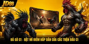 Đá Gà JD88 - Theo Dõi Những Màn Đối Đầu Nảy Lửa 2026 - NO8.GAMES
