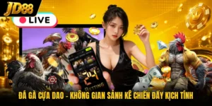 Đá Gà JD88 - Theo Dõi Những Màn Đối Đầu Nảy Lửa 2026 - NO8.GAMES