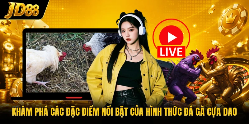 Đá Gà Cựa Dao - Không Gian Sảnh Kê Chiến Đầy Kịch Tính - NO8.GAMES