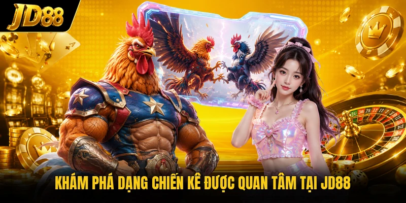 Đá Gà C1 - Bật Mí Điểm Hấp Dẫn Của Các Trận Đấu C1 - NO8.GAMES