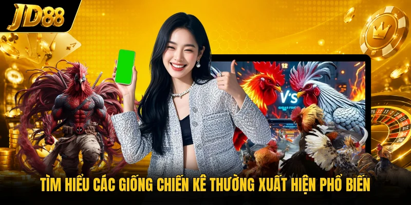 Đá Gà Cựa Dao - Không Gian Sảnh Kê Chiến Đầy Kịch Tính - NO8.GAMES