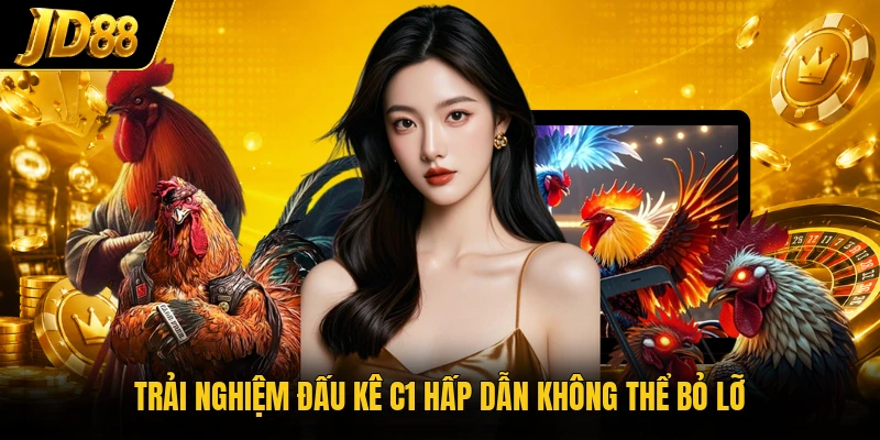 Đá Gà C1 - Bật Mí Điểm Hấp Dẫn Của Các Trận Đấu C1 - NO8.GAMES